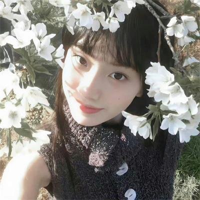 丽人保镖之马道疑云